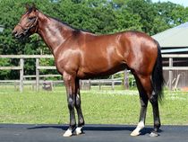 ����å��ǳ��������ɽ�����ޤ�