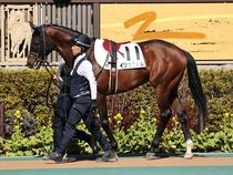 ����å��ǳ��������ɽ�����ޤ�