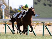 ����å��ǳ��������ɽ�����ޤ�