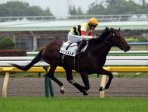 ����å��ǳ��������ɽ�����ޤ�