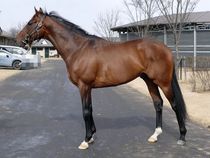 ����å��ǳ��������ɽ�����ޤ�