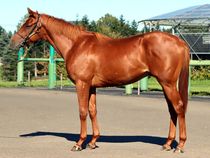 ����å��ǳ��������ɽ�����ޤ�