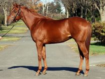 ����å��ǳ��������ɽ�����ޤ�