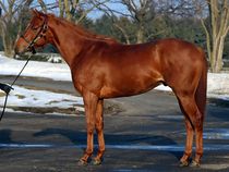 ����å��ǳ��������ɽ�����ޤ�