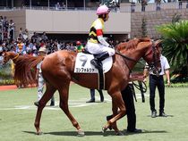 ����å��ǳ��������ɽ�����ޤ�