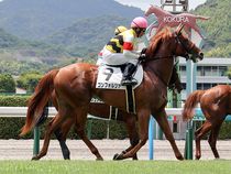 ����å��ǳ��������ɽ�����ޤ�