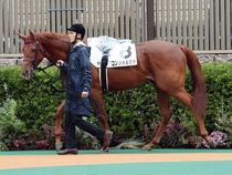 ����å��ǳ��������ɽ�����ޤ�