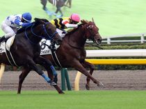 ����å��ǳ��������ɽ�����ޤ�