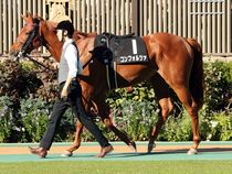 ����å��ǳ��������ɽ�����ޤ�