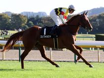 ����å��ǳ��������ɽ�����ޤ�