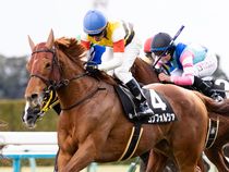 ����å��ǳ��������ɽ�����ޤ�