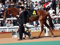 ����å��ǳ��������ɽ�����ޤ�