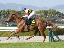 ����å��ǳ��������ɽ�����ޤ�