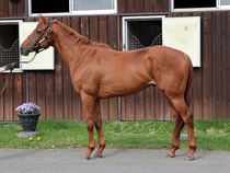 ����å��ǳ��������ɽ�����ޤ�