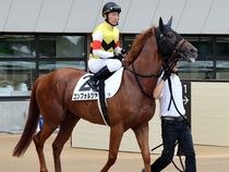 ����å��ǳ��������ɽ�����ޤ�