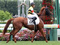 ����å��ǳ��������ɽ�����ޤ�