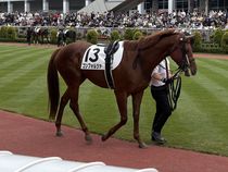 ����å��ǳ��������ɽ�����ޤ�