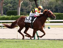 ����å��ǳ��������ɽ�����ޤ�