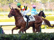 ����å��ǳ��������ɽ�����ޤ�