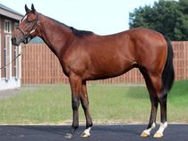 ����å��ǳ��������ɽ�����ޤ�