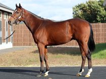 ����å��ǳ��������ɽ�����ޤ�