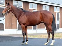 ����å��ǳ��������ɽ�����ޤ�