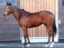 ����å��ǳ��������ɽ�����ޤ�