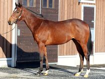 ����å��ǳ��������ɽ�����ޤ�