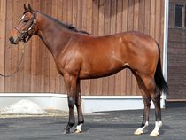 ����å��ǳ��������ɽ�����ޤ�