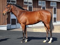 ����å��ǳ��������ɽ�����ޤ�