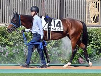 ����å��ǳ��������ɽ�����ޤ�