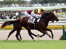 ����å��ǳ��������ɽ�����ޤ�