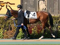 ����å��ǳ��������ɽ�����ޤ�