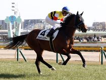 ����å��ǳ��������ɽ�����ޤ�