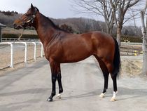 ����å��ǳ��������ɽ�����ޤ�