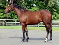 ����å��ǳ��������ɽ�����ޤ�