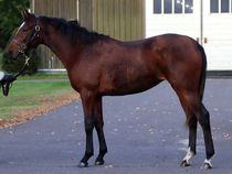 ����å��ǳ��������ɽ�����ޤ�