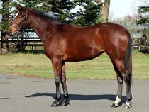 ����å��ǳ��������ɽ�����ޤ�