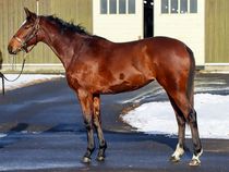 ����å��ǳ��������ɽ�����ޤ�