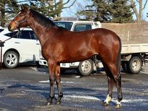 ����å��ǳ��������ɽ�����ޤ�