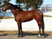 ����å��ǳ��������ɽ�����ޤ�