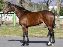 ����å��ǳ��������ɽ�����ޤ�