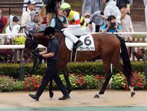 ����å��ǳ��������ɽ�����ޤ�