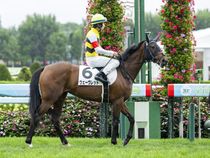 ����å��ǳ��������ɽ�����ޤ�