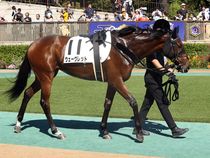 ����å��ǳ��������ɽ�����ޤ�