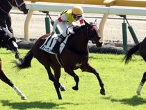 ����å��ǳ��������ɽ�����ޤ�