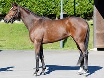 ����å��ǳ��������ɽ�����ޤ�