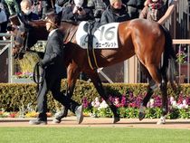 ����å��ǳ��������ɽ�����ޤ�