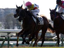 ����å��ǳ��������ɽ�����ޤ�