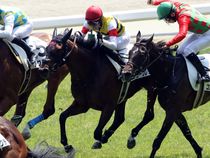 ����å��ǳ��������ɽ�����ޤ�